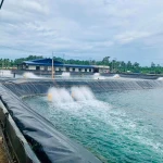 UV Resistant LDPE LLDPE and HDPE Geomembranes for Dams Mining and Tailings Ponds