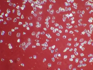 Electroplated Powder 1 Microscopic