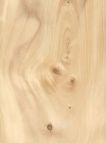 Premium White Spruce Logs Bulk Supply High Quality Timber Export Grade Material