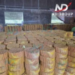 Vietnam Cigar Cassia Cinnamon