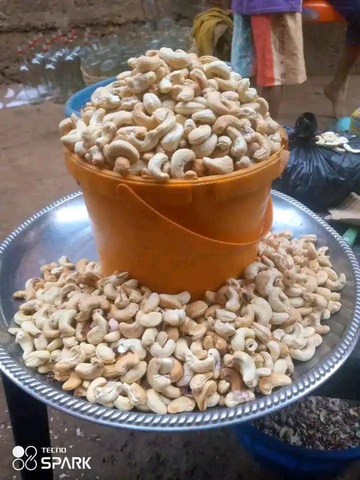 Buy Cashew Nuts from Evans digital, Nigeria