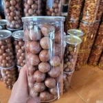 Premium Macadamia Nuts Bulk Fresh Roasted Macadamia Nuts Healthy Snack With High Fat Content And Flavor