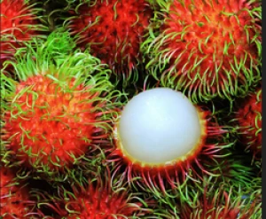 Fresh Rambutan High Quality Best Price From Vietnam