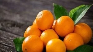 Fresh Valencia orange imported from Iran