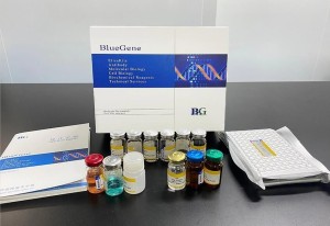 BlueGene Biotech Porcine Soluble Cluster Of Differentiation 40 Ligand ELISA kit