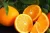 Import Fresh Valencia orange imported from Iran from Iran