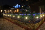 outdoor decorative luminous wire