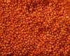 Red Lentils/ Canada Red Lentils / Red Split and Football Red type Red Lentils