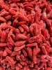 Nutrient-Rich Ningxia Wolfberry for Skin Health and Immunity