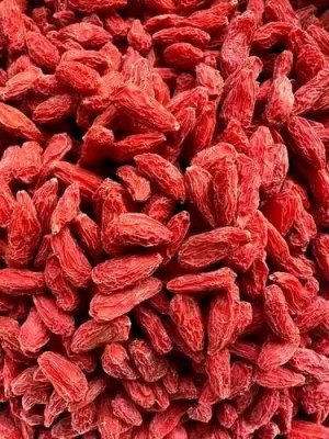 Nutrient-Rich Ningxia Wolfberry for Skin Health and Immunity