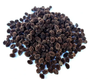 Red Lady Dried Papaya Seeds