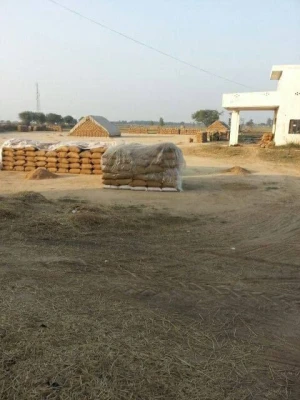 BASMATI RICE