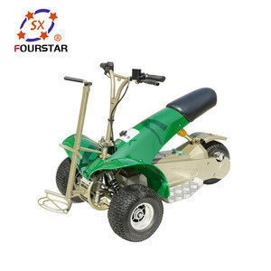 1000W Powered Folding Electric Golf Cart with Bag Holder and Umbrella (SX-E0906-3A)