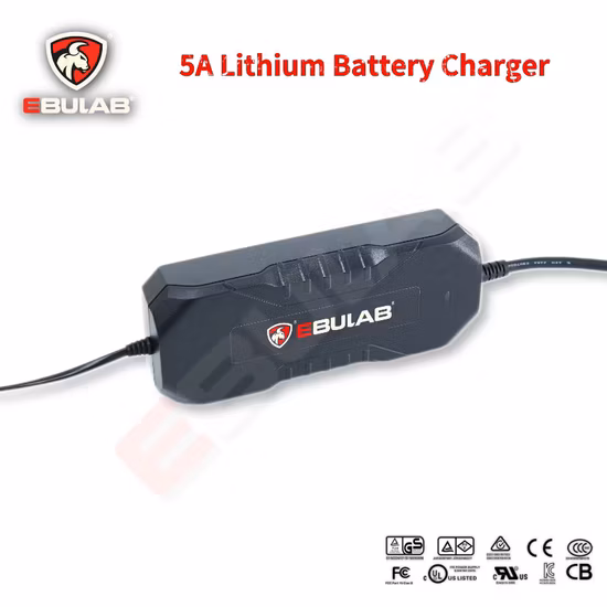 200W Smart Electric Bicycle Ebike 48V Lithium Na Li-ion Battery Charger 54.6V 4A 5A