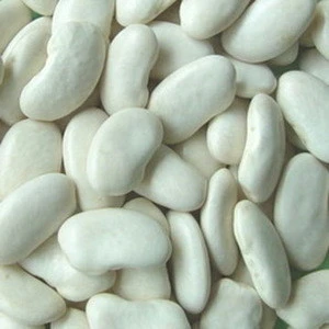 2017 white kidney beans / butter bean / white bean