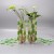 Import 2018 Fashion Design Disposable Plastic Flower Vase from China