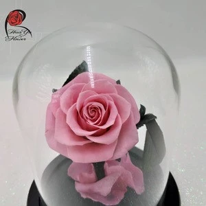 2018 hot sale Christmas  new maodel design Mini-preserved rose in glass dome