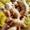 2020 Crop organic Fresh Ginger For Sale