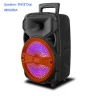 2020 DJ sound bass sound wireless speaker with LED light music system with USB FM support trolley speaker karaoke