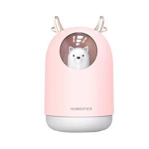 2020 New Arrival Small And Exquisite Cute 300ml Usb Mini Air Humidifier
