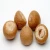 Import 2021 SALES DRIED BETEL NUT,Cheap Betel Nut Packaging Food,Organic Color Brown Raw Origin/indonesia betel nuts/Dried Betel Nuts from Canada