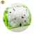 Import 2024 Strong Water Absorption Cheap Price Crystal Litter Cat from China