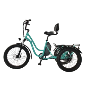 Bike Rear 2 Wheel Buy 20inch The Fat-tire Aluminum Electric Bicycle Rear Two-wheel Drive ...