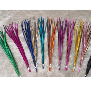 24-28 inch ( 60-70 cm ) Reeves pheasant feather tails for Carnival costumes