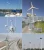 Import 300w 12v 24v wind turbine generator alternative energy generator from China