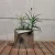 Import 3D  Metal Stainless Steel Flower Pots Planter Garden in Bulk from China
