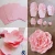 Import 3D Paper Flowers Decorations Giant Wedding Flowers Centerpieces Birthday Backdrop, nursery wall Decor, Photobooth from China