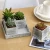 Import 4 Artificial Succulent Plants In Rustic Wood Planter Pots With 8-inch Tray from China