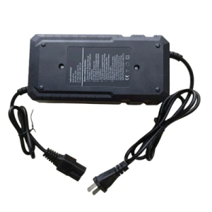 48V4a/48V30ah/with Interlock/Fast Charger/Multi Stage Charging Charger/for Electric Forklift Starting Engine