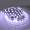 5050 RGB 300 LED Strip Light DC 12V 5 meters 60led/m Flexible strep + 44Keys remote controller + Power Adapter