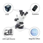 7-45x zoom electric stereo microscopes ,Stereo Microscope FSM45T1