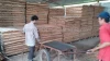 100%A grade Eucalyptus core veneer origin of Vietnam to Turkey market