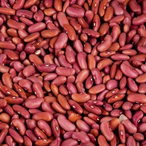 AD Drying Process and Kidney Beans Product Type dry butter beans