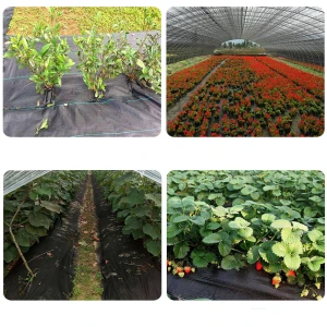 Agricultural anti-aging horticultural ground lawn cloth  agro farming plastic net