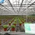 Import agricultural greenhouse frame from China