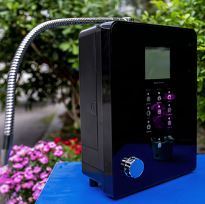 Alkaline Water Ionize Drinking Home Water Purifier Dispenser Pure Water Filter