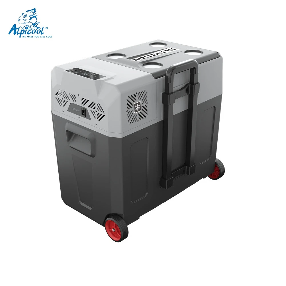 Alpicool cooler box portable mini car refrigerator with Handle 12V 220V