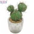 Import Artificial plants wholesale faux Cactus artificial succulent plants potted for garden home decor from China