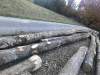 ash logs / FSC / PEFC / swiss quality