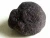 Import Autumn truffle iran black truffles for sale fresh desert truffles 5~7cm from China