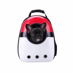 backpack to carry dog in