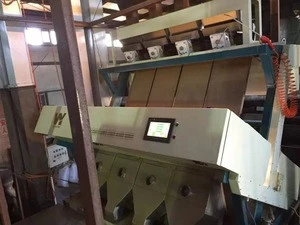 Best sellingoptical chickpeas color sorting machine equipment