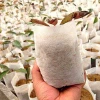 Bezant Biodegradable PP non woven grow bags for plant nursery and root control
