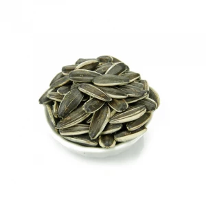 big size raw snack ton price sunflower seed kernel