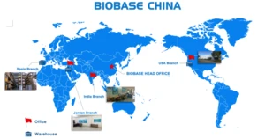 BIOBASE China Laboratory Gel HB Electrophoresis Apparatus Vertical Electrophoresis Tank for Molecular Diagnosis