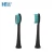 Import Black UltraSonic Rechargeable Electric Toothbrush from China